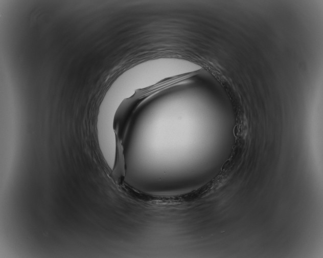 X0000082980763200703020256