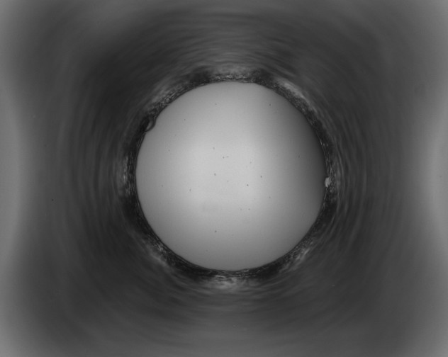 X0000082980764200703020256