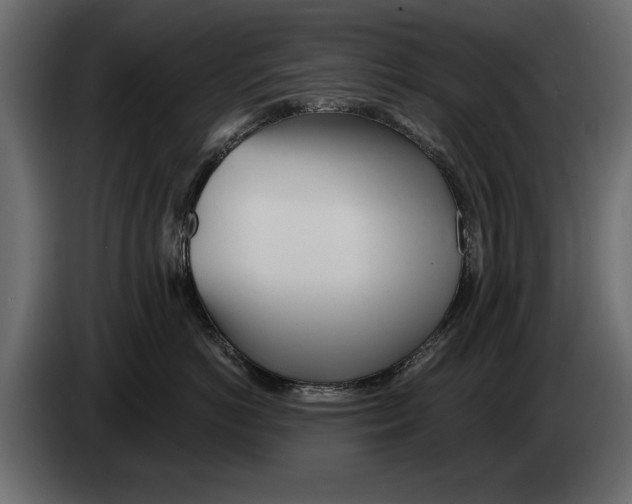 X0000082980766200703020257