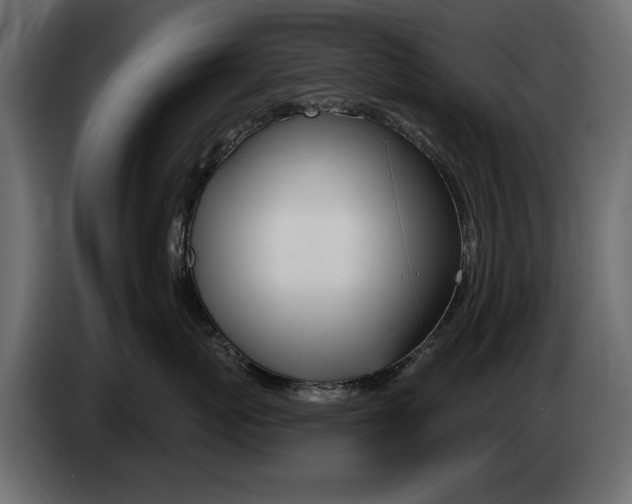 X0000082980767200703020257