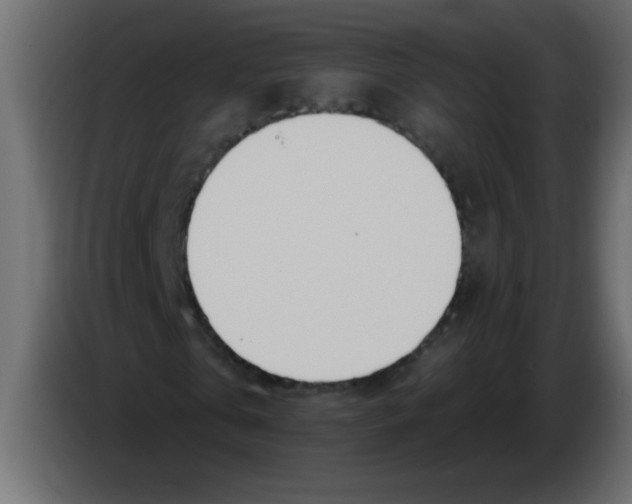 X0000082980769200703020256