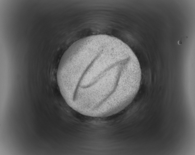 X0000082980770200703020256