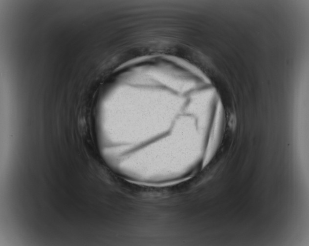 X0000082980771200703020256