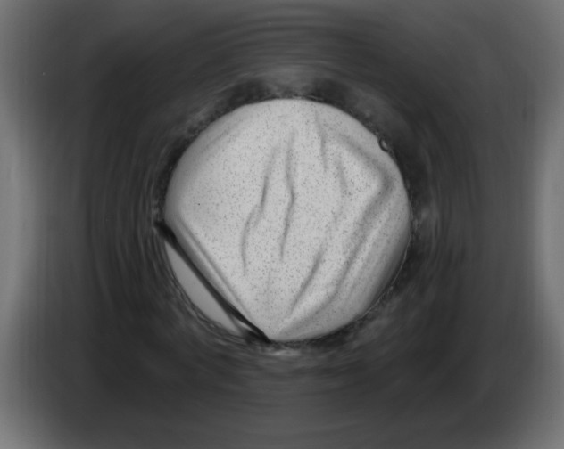 X0000082980772200703020256