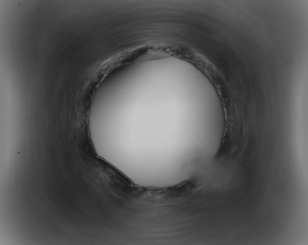 X0000082980773200703020256