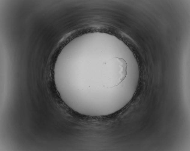X0000082980776200703020256
