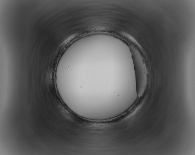 X0000082980777200703020256