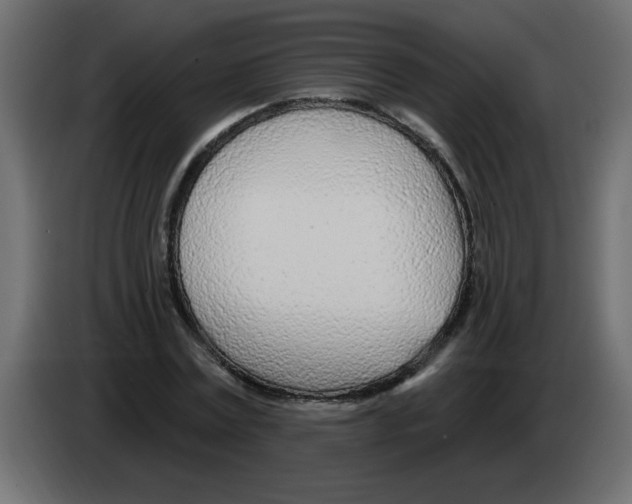 X0000082980779200703020256