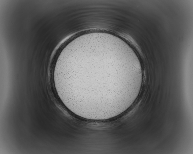 X0000082980780200703020256