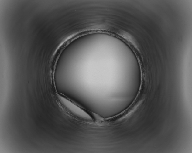 X0000082980781200703020256