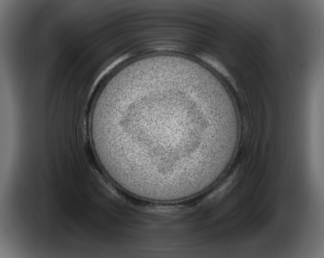 X0000082980782200703020256
