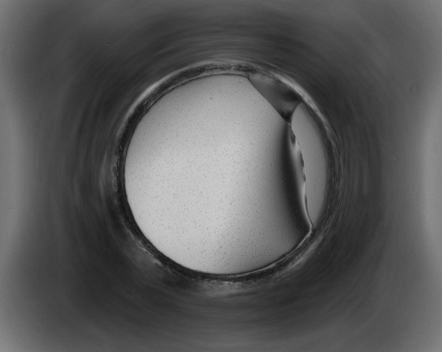 X0000082980783200703020256