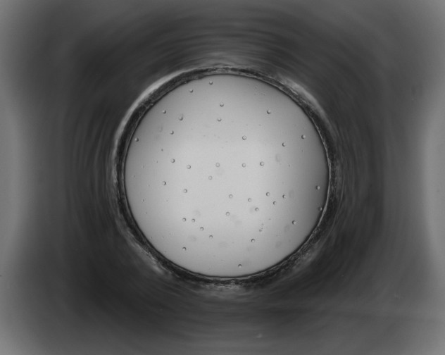 X0000082980784200703020256
