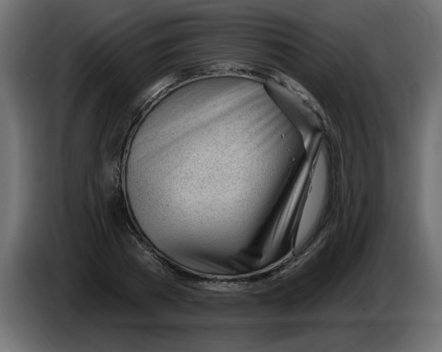 X0000082980785200703020256