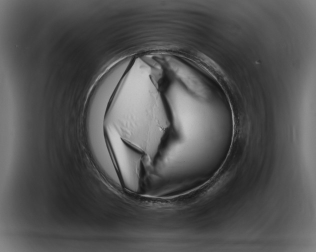 X0000082980786200703020256