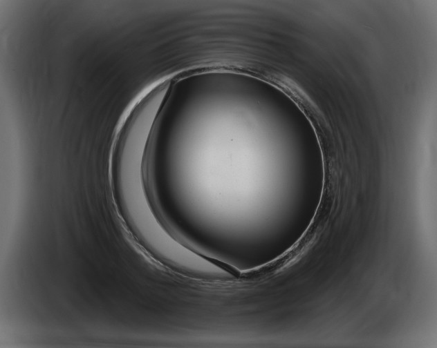 X0000082980788200703020256