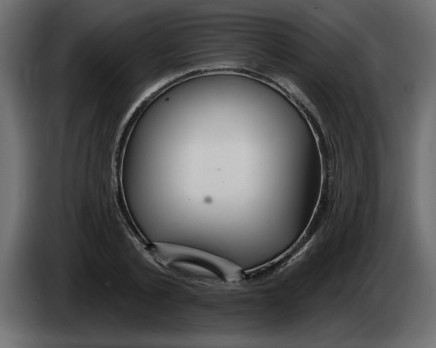 X0000082980789200703020256
