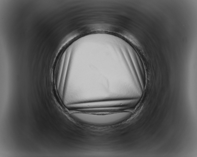 X0000082980790200703020256