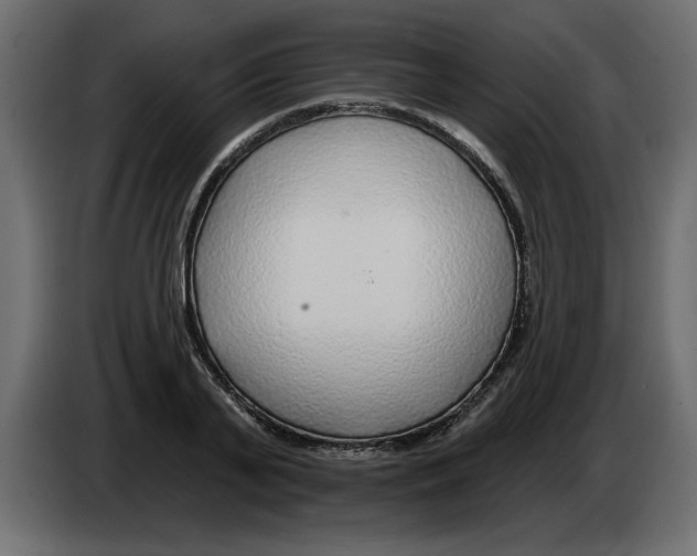 X0000082980791200703020256