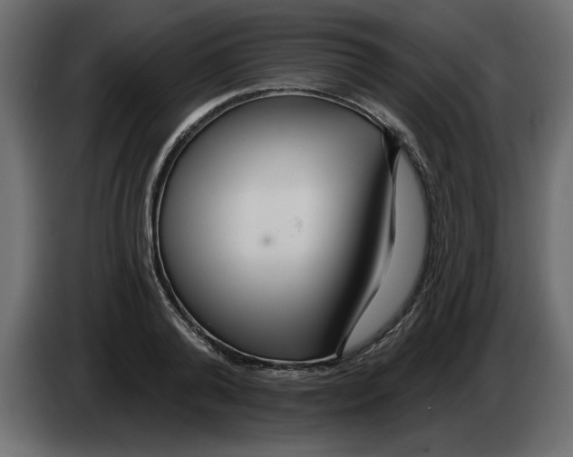 X0000082980792200703020256