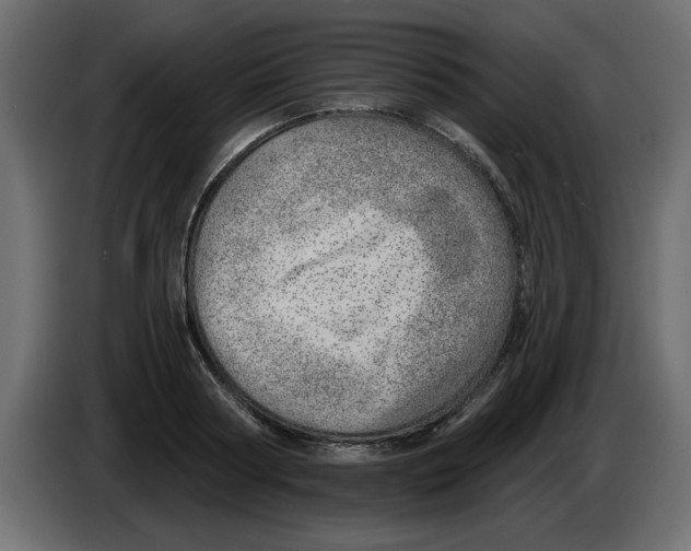 X0000082980794200703020256