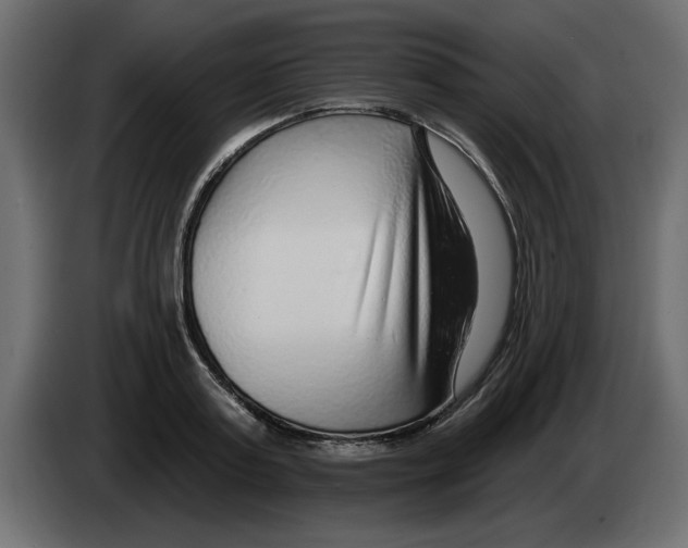 X0000082980795200703020256