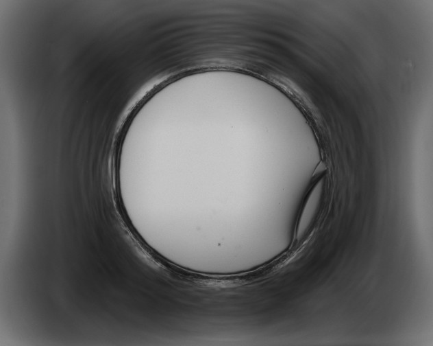 X0000082980796200703020255