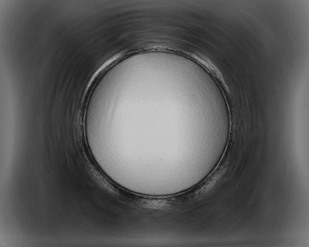 X0000082980798200703020255