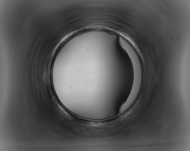 X0000082980799200703020255