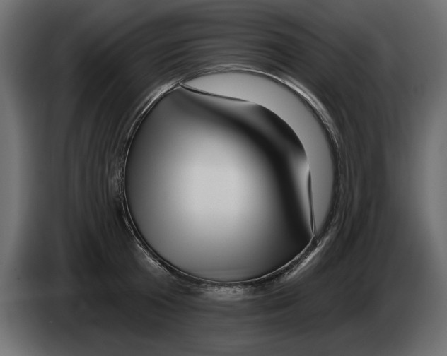 X0000082980801200703020255