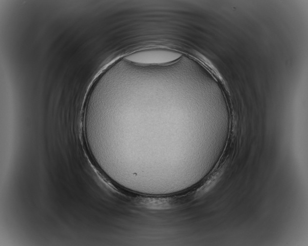 X0000082980802200703020255