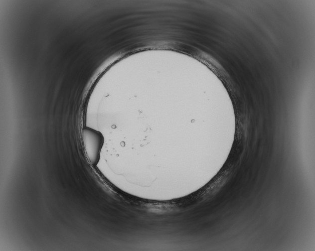 X0000082980804200703020255