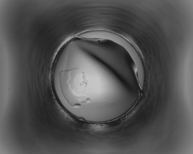 X0000082980805200703020255