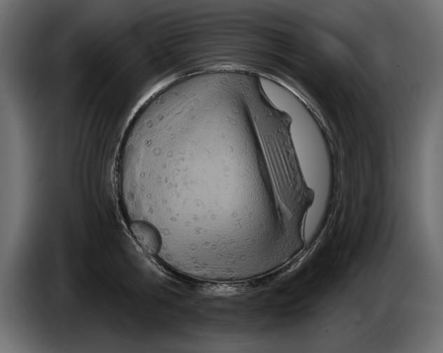 X0000082980806200703020255