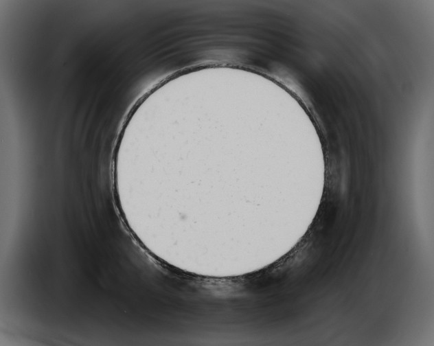 X0000082980807200703020255
