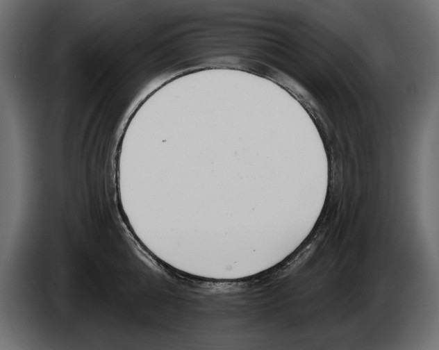 X0000082980808200703020255