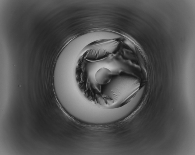 X0000082980809200703020255