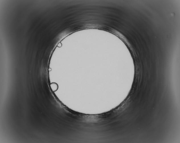 X0000082980810200703020255