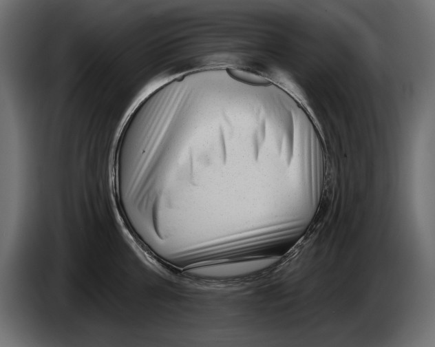 X0000082980811200703020255