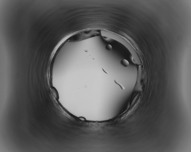 X0000082980812200703020255