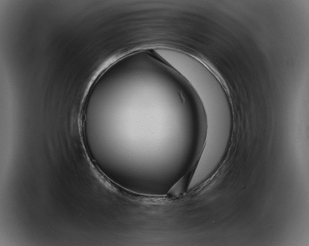X0000082980813200703020255