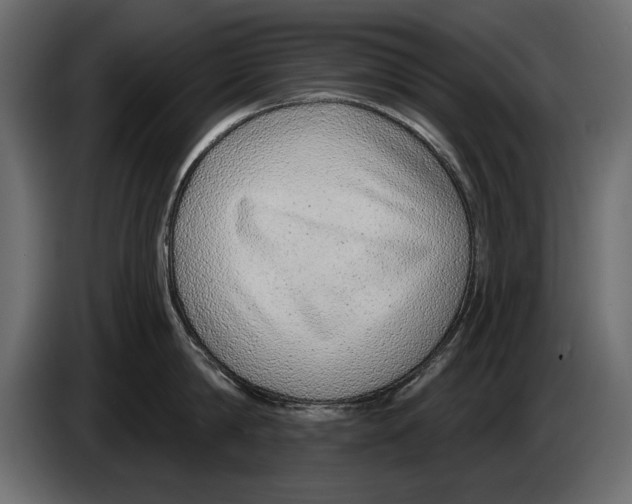 X0000082980814200703020255