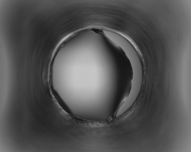 X0000082980815200703020255
