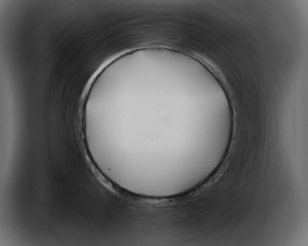X0000082980816200703020255