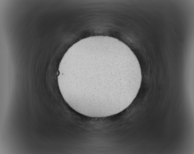 X0000082980817200703020255
