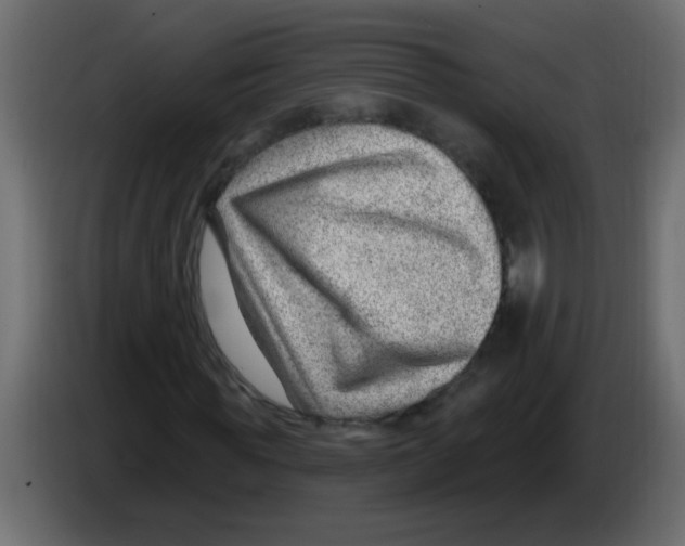 X0000082980819200703020255