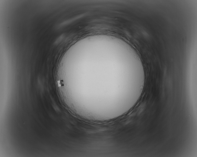 X0000082980820200703020255