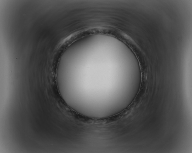 X0000082980822200703020255