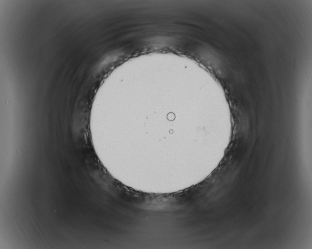 X0000082980824200703020255