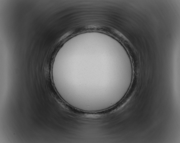 X0000082980825200703020255